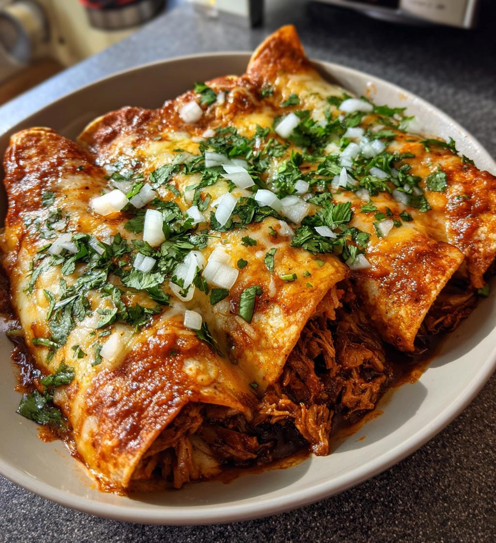 birria enchiladas - detail 1