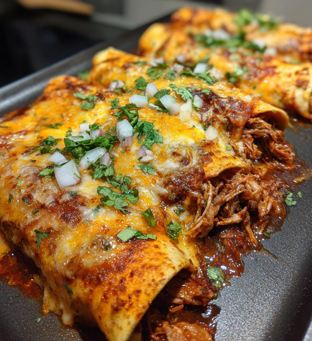 birria enchiladas
