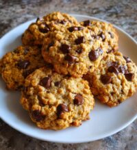 pumpkin chocolate chip oatmeal cookies