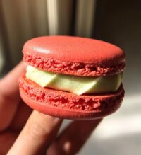 chinese new year macaron