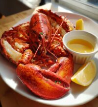cooked lobster