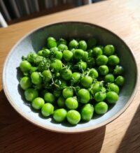 growing black eyed peas