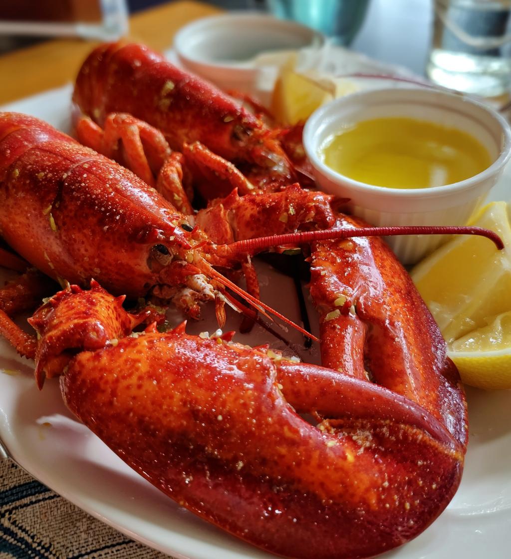 live lobster