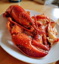 lobster photo