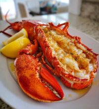 steamed lobster how to cook